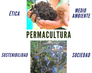 Fundamentos de la Permacultura. Definición de permacultura
